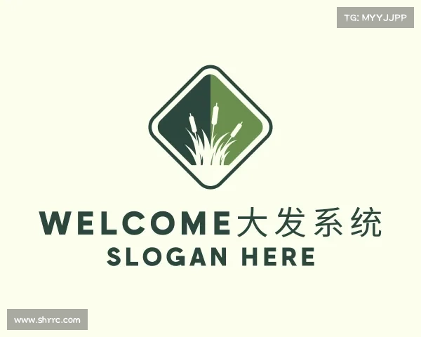 介绍welcome大发系统